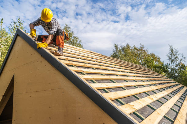 Best Local Roofing Companies  in Forestde, AL