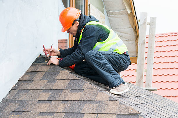 Roof Gutter Cleaning in Forestdale, AL