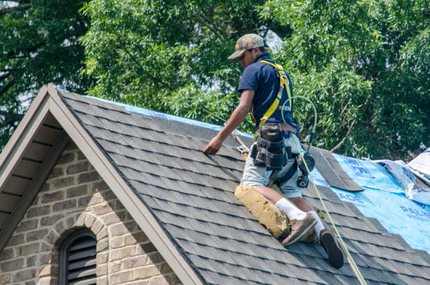 Best Roof Maintenance Services  in Forestde, AL